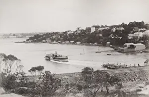 Lavender Prints: Australia - Sydney, Lavender Bay, paddle steamer