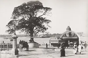 Australia - Sydney, Milsons Point
