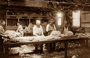 Australia Wool grading shed Victorian period