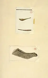 Watling Prints: Australian Aborigine tools
