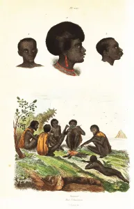Aboriginal Prints: Australian Aborigines and heads of natives of Waigeo, West Papua