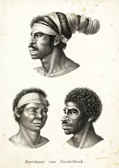 Aborigine Collection: Australian aborigines of the Malay race