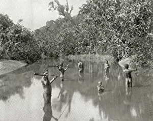 Aborigines Gallery: Australian Aborigines spearing fish