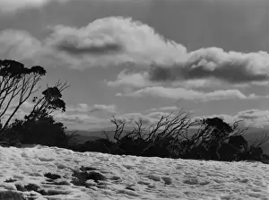 Glance Prints: AUSTRALIAN ALPS