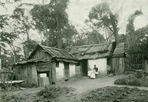 Australian Bush House