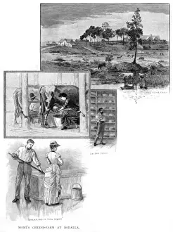 Milking Prints: Australian Cheese Making