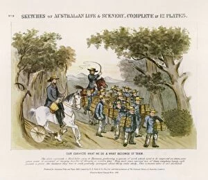 Australian Convicts