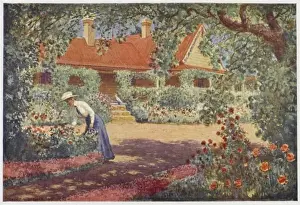 Australian Homestead