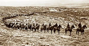 Australian Light Horse Regiment during the First World War