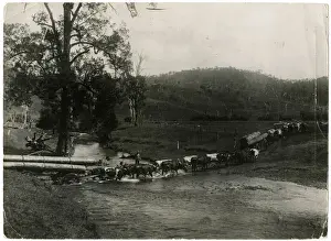 Convoy Prints: AUSTRALIAN LUMBER WAGONS