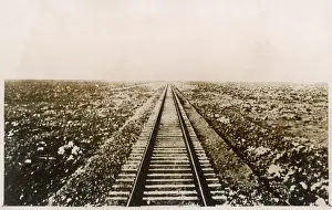 Connects Prints: Australian Railway