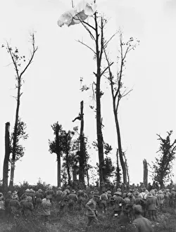 Australian troops in 1917