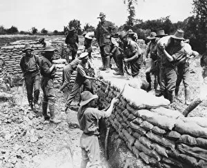 Images Dated 27th October 2011: Australian troops building trenches, Fleurbaix, France, WW1