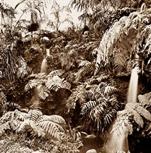 Australian Waterfall, Franco British White City