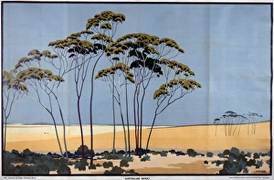 Australian Wheat
