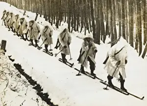 Anschluss Prints: Austrian infantry