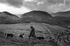Tilley Prints: Author Patrick Tilley