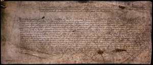 Document Collection: Authority from Henry VII