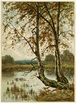 Ponds Collection: Autumn