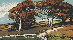 Autumnal Prints: Autumn by Adrian Hill