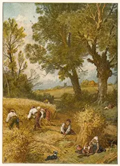 Autumn / Harvest (Foster)