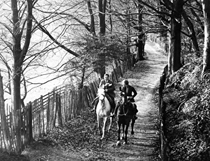 Images Dated 1st September 2011: Autumn Horse Ride