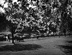 Autumn in Hyde Park