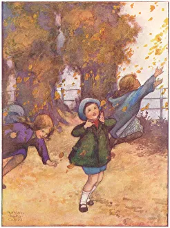 Coates Collection: Autumn leaves