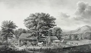 Cider Prints: Autumn in New England: cider making