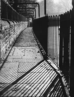Spooky Prints: Autumn Shadows