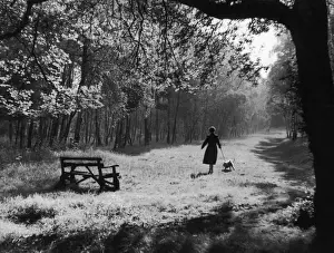Walkies Prints: Autumn Walkies