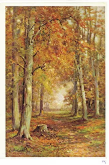 Breanski Prints: Autumn Woodland