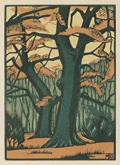 Autumnal Trees