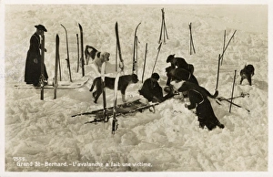 St Bernard Rescuing