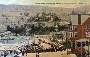 Queuing Prints: Avalon Bay, Santa Catalina Island, California, USA