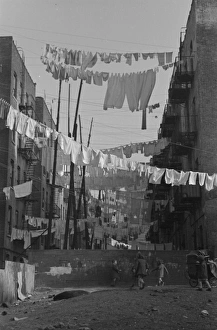 An avenue of clothes washings between 138th and 139th Street An avenue of clothes washings between 138th and 139th Street