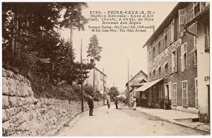 Altitude Prints: Avenue des Alpes, Peira Cava, Alpes Maritimes