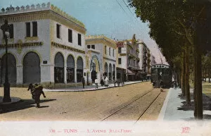 Images Dated 13th June 2017: Avenue Jules Ferry, Tunis, Tunisia, North Africa