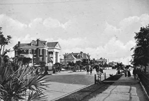 Neoclassical Collection: Avenue L and Tremont, Galveston, Texas, USA