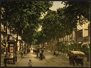 Gare Prints: Avenue de la Gare, Nice, Riviera