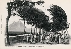 Pyramids Prints: Avenue to the Pyramids of Giza, Egypt