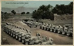 Amun Prints: Avenue of ram-headed sphinxes, Temple of Amun, Egypt