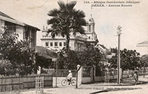 Senegalese Gallery: Avenue Roume, Dakar, Senegal, West Africa