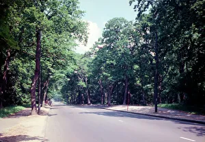 The Avenue, Southampton