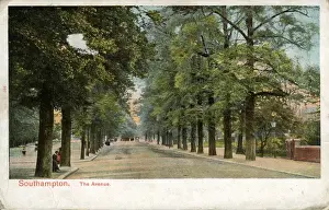 The Avenue, Southampton, Hampshire