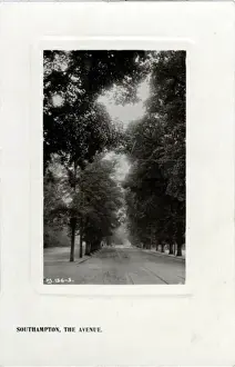 The Avenue, Southampton, Hampshire