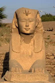 Sphinxes Prints: Avenue of the sphinx. Luxor