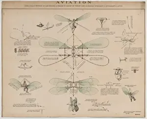 Sans Prints: Aviation, etudes, essais et inventions qui, sans resourdre l