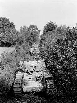 An Avre moving through close country