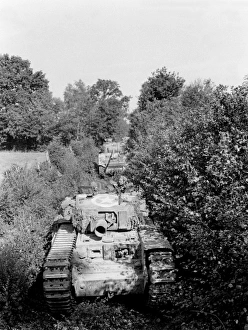 Images Dated 23rd August 2016: An Avre moving through close country